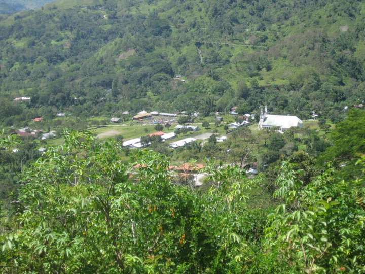 Community Reforestation in Timor Leste